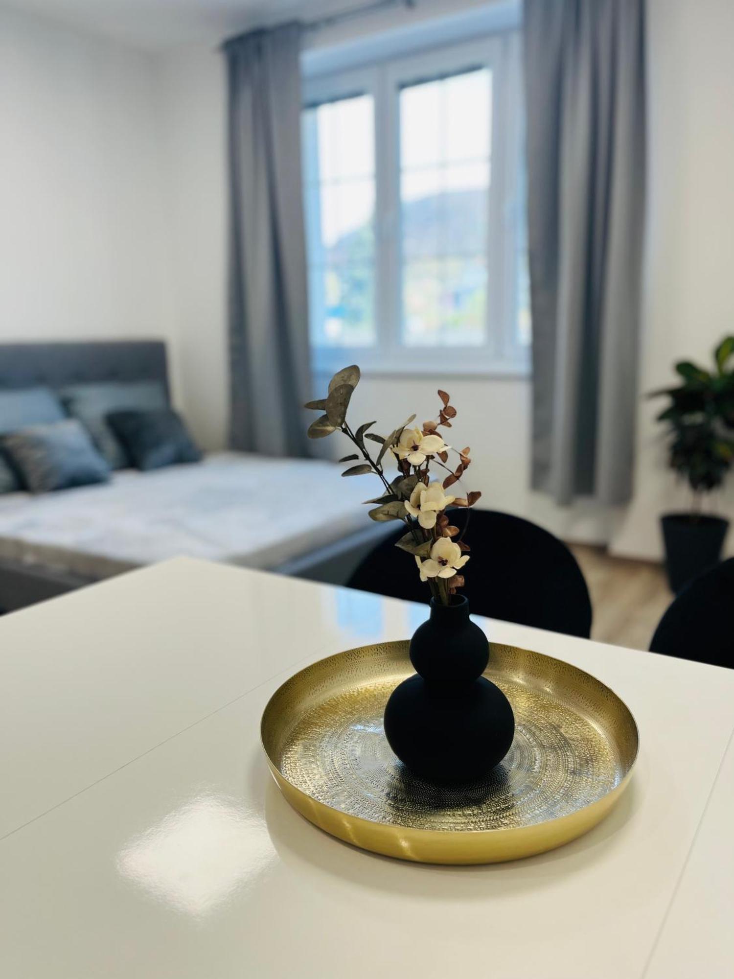 Apartment Riviera Centrum, Private Parking And Smart Check In บันสกาบิสตรีตซา ภายนอก รูปภาพ